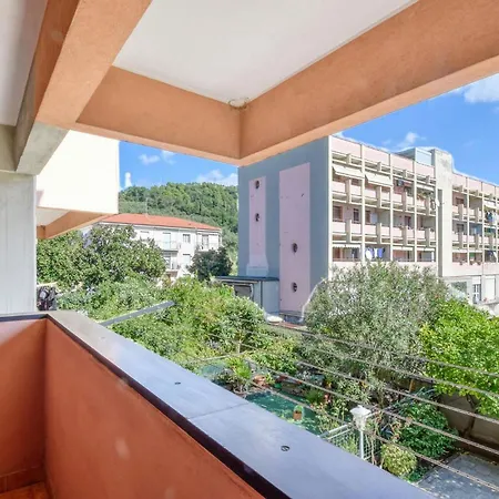 Apartment Lemon Tree