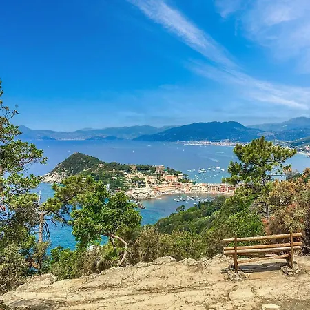 Apartment Lemon Tree